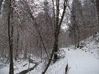 Destinationen: Winter am Ammersee