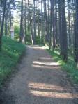 Wiener Mariazellerweg (06) in kleinen Dosen – 2. Akt “Von Berg zu Berg über zwei Kirchen”, 05.06.2010