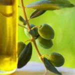 Olivenöl beugt Herz-Kreislauf-Erkrankungen vor
