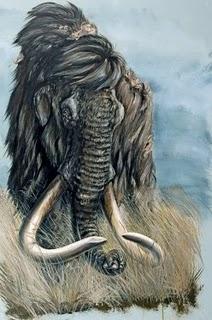 Interview mit Dick Mol über das Mammoth-Museum in Thessaloniki