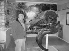 Dinotherium-Museum