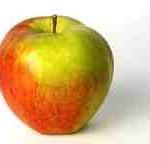 An apple a day… Können Apfelpolyphenole das Darmkrebsrisiko senken?