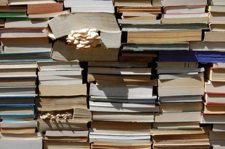 Bücherwald – neues Leben für alte Schinken