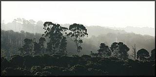 Speed and footprints!