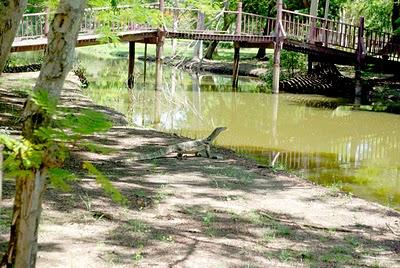 Ayutthaya  -  Once City of the Kings, today City of the Dragons