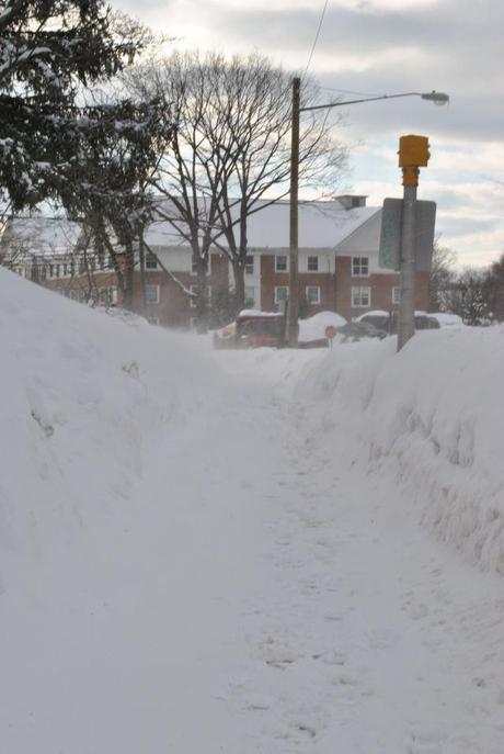 Snowpocalypse in Middletown