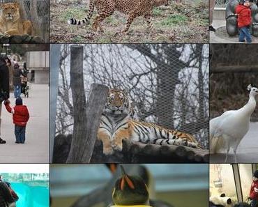 Immer wieder Sonntags