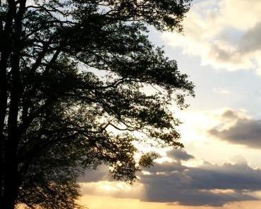 wallpaper-1689754