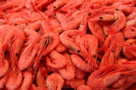 17_Shrimps-Fischmarkt-Bergen-Norwegen