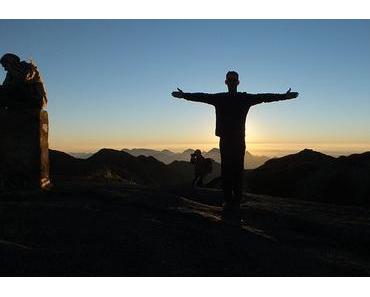 Sein oder nicht sein