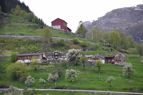 16_Bauernhof-Geirangerfjord-Norwegen