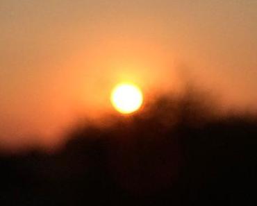 Sonntagsmusik: Baohaus – Homebody Beats