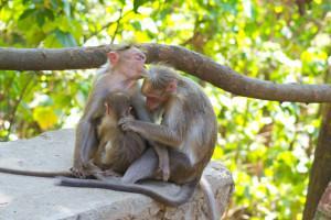 Die Brüste meiner Schwägerin