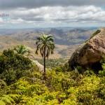 Andringitra-Nationalpark-Madagaskar-Blick-Palme