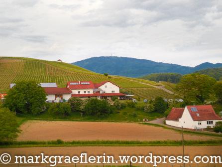 Nordic Walking und ein Besuch in Berners Straussi in Mauchen