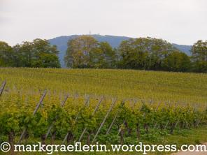 Nordic Walking und ein Besuch in Berners Straussi in Mauchen