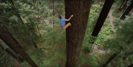 Baumbesteigung für Profis – Chris Sharma klettert auf Mammut-Baum