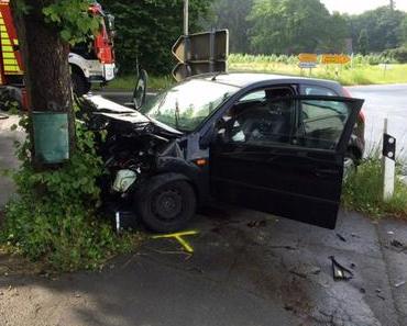 Autounfall B483 – Frontal mit Baum kollidiert