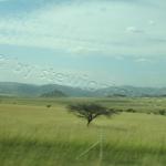 1 Tag Swaziland und zurück bis nach Hluhluwe