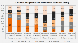 Anteil Energieeffizienz-Investitionen