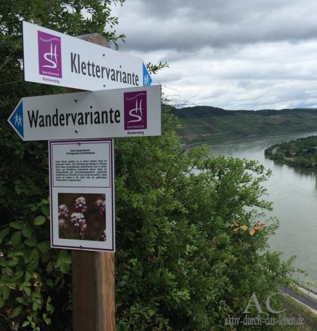 Klettersteig Mittelrhein mit Kindern und Höhenangst?