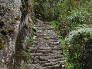 Machu Picchu Inkatreppe