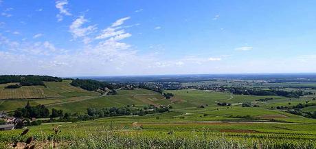 Panorama-Ausblick in die Weinberge. - © Foto: Erich Kimmich 