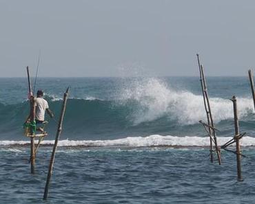 Die Stelzenfischer von Talpe, Sri Lanka