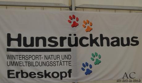 Rheinland-Pfalz-Tag 2015 in Ramstein-Miesenbach