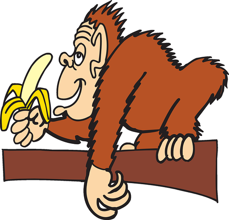 Affe futtert Banane