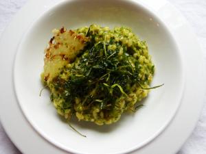 rucola-mokka-risotto mit bergkäse-crunch