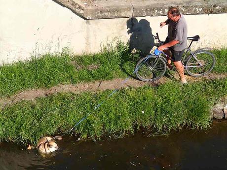 Radler mit Hund am Kanal. - © Foto: Erich Kimmich