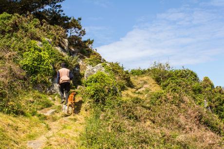 Kerguian auf der Halbinsel Cap-Sizun in der Bretagne