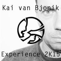 Kai Van Bjonik - Experience