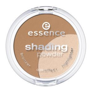 essence shading powder 02 regional