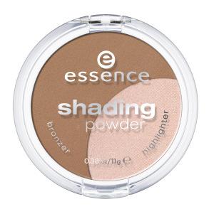 essence shading powder 01 regional