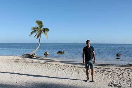 Reisenakdote Killerpalme Islamorada Florida Keys Florida - Reiseblog ferntastisch