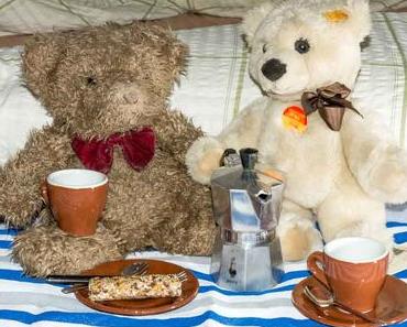 Tag des Teddybär-Picknick – der Teddy Bear Picnic Day
