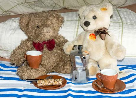 Kuriose Feiertage - 10. Juli - Tag des Teddybär-Picknick – der Teddy Bear Picnic Day -1 (c) 2015 Sven Giese