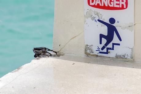 08_Malediven-Urlaub-Krabbe-in-Gefahr