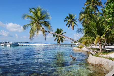 02_Malediven-Urlaub-Bootssteg-Palme