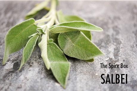 Salbei – Die göttliche Pflanze
