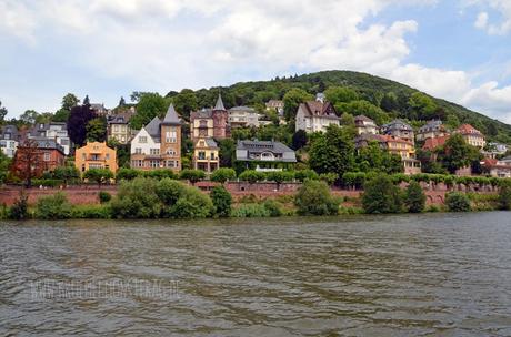 Geburtstagsausflug (10) nach Heidelberg