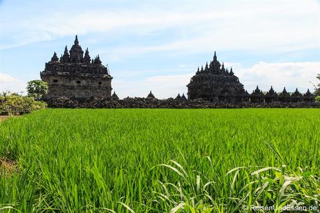 Meine Besichtigung von Prambanan und 2 weiteren Tempeln