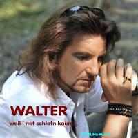 Walter Guttberg - Weil I Net Schlofn Kaun