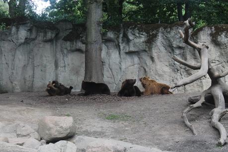 Hagenbecks Tierpark II