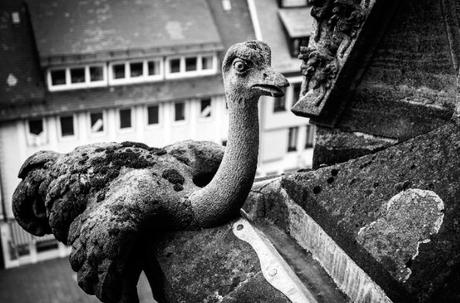 Austellung in Ulm: Verborgene Einblicke – Fotografien von Matthew G. Beall