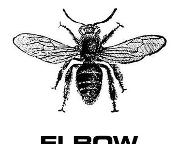 Elbow: Der Stolz der Arbeitsbiene