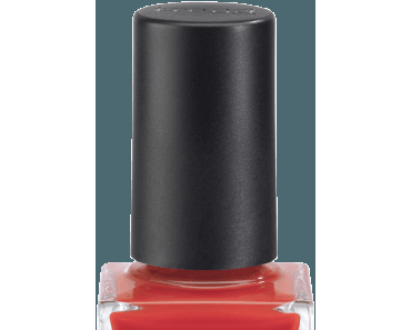 Neues von DM ( DM – Insider )