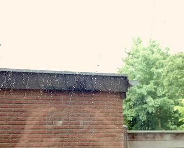 Unser Wochenende in Bildern (Woche 30)